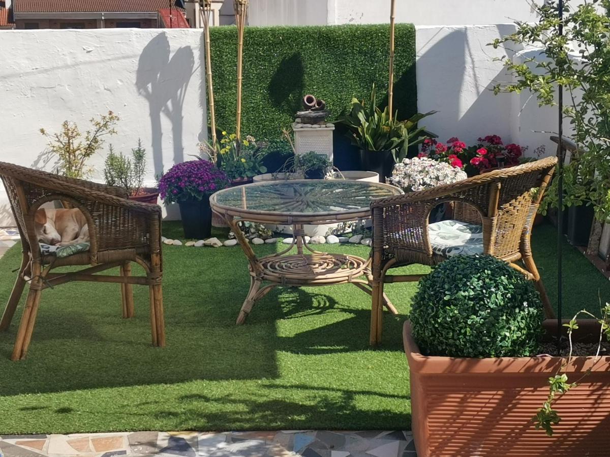 Habitacion Centro Gandía Dış mekan fotoğraf