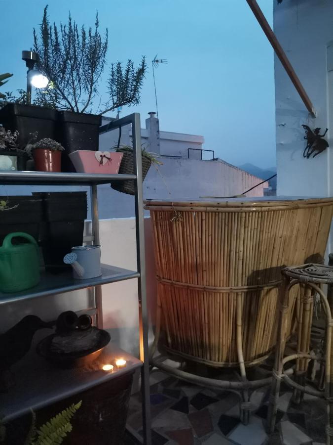 Habitacion Centro Gandía Dış mekan fotoğraf